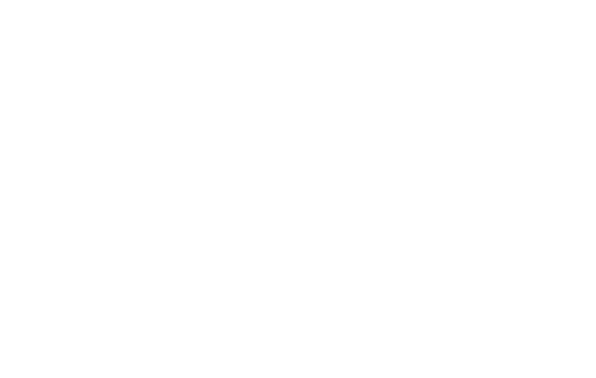 Shalom Business
